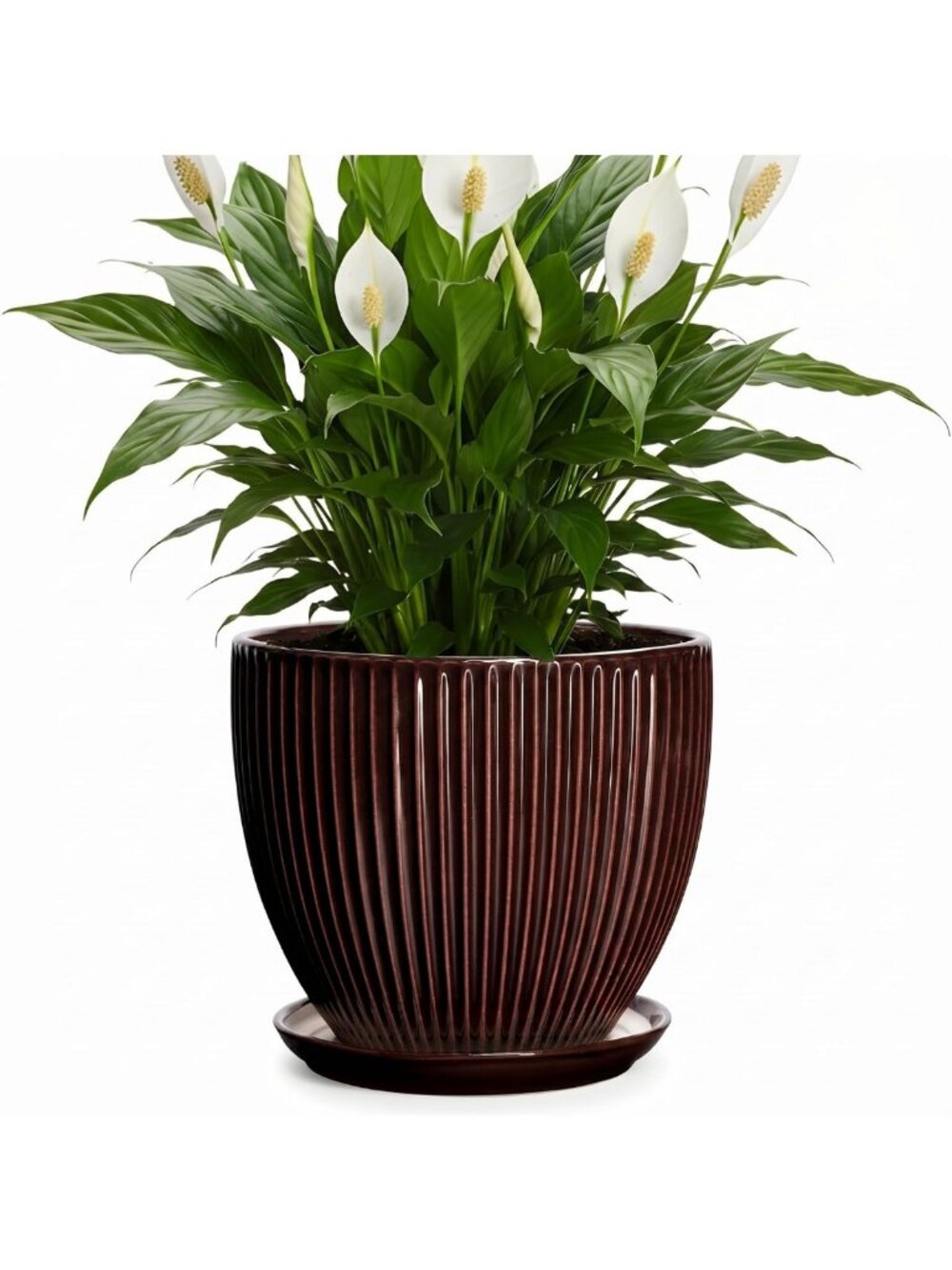 8-Inch Ceramic Flower Pot with Saucer - Stylish Indoor/Outdoor Planter, Brown